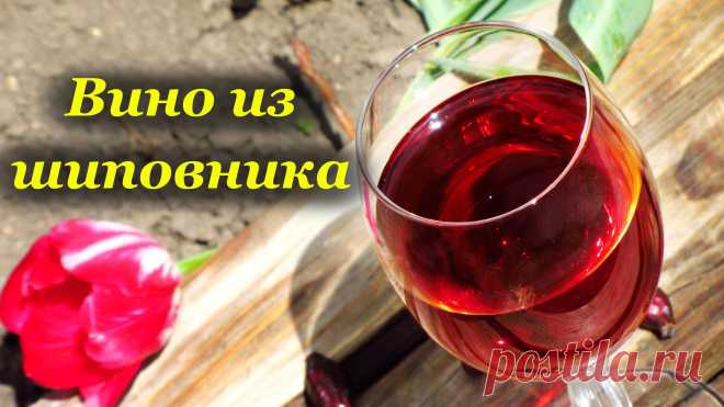 Рецепты вина из шиповника - perchinka63.ru