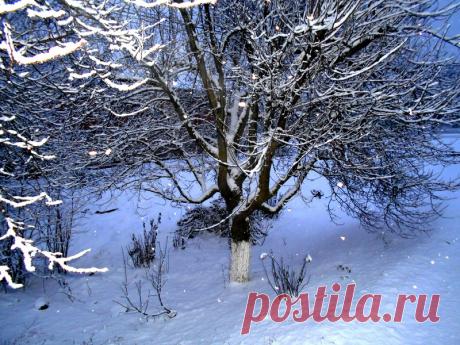 С Рождеством - 7 Января 2018 - Персональный сайт