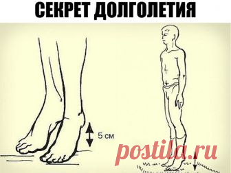 Секрет долголетия 

Академик Микулин создал гимнастику, состоящую из простейших упражнений, своеобразных сотрясений — ударах пятками о пол. Эта методика позволяет улучшить кровоток, предотвратить закупорку вен и нормализовать давление. Также улучшается работа мозга: от тяжести и боли в голове не остается и следа. 

Встань прямо, стопы соедини, зубы сожми. Приподними пятки на 3–5 см от пола, затем резко опустись. В результате возникшего встряхивания венозные клапаны получаю...