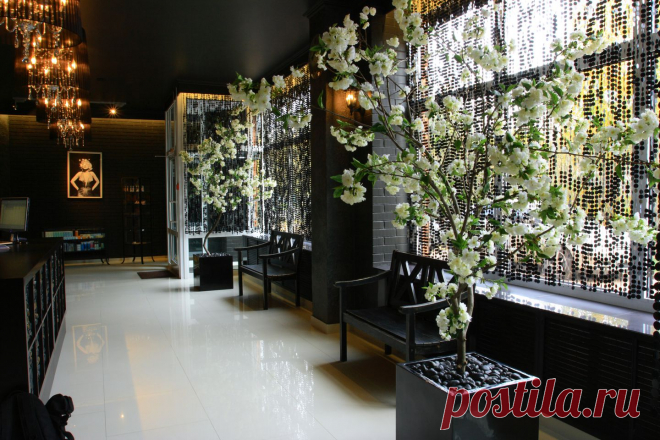 Озеленение помещений искусственными деревьями.

Предлагаем услуги профессиональных флористов по озеленению любых помещений. В наличие искусственные пальмы разной высоты и искусственные оливковые деревья, цветущая сакура, яблоня, фикус и другие деревья по оптовым ценам европейского качества.