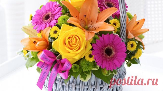 Всем добро пожаловать на мой праздник " День моего рождения!!!".