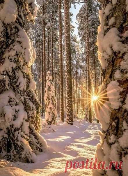 КАКОЙ СЕГОДНЯ ПРАЗДНИК? 3 Января 2020 г. – Пятница • День памяти княгини Ольги • День бенгальских искр и гирляндных огней • День памяти святого блаженного Прокопия Вятского • День рождения соломинки для коктейлей (Drinking Straw Day)132 года День революции - Буркина-Фасо54 года • День памяти борцов Освободительной войны - Эстония • День вишни в шоколаде (National Chocolate Covered Cherry Day) - США • Фестиваль Тамасесери - Япония • Фестиваль сонного дня (Festival of Sleep Day) - США • День…