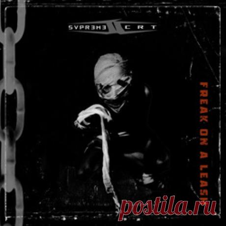 Supreme Court - Freak On A Leash (Single) (2026) 320kbps / FLAC