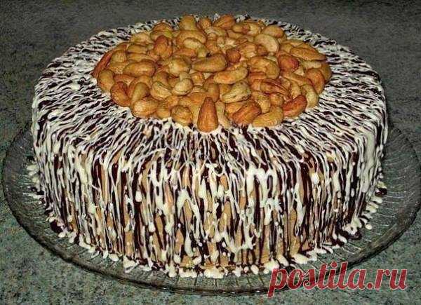 Topt "прекрасная маркиза"