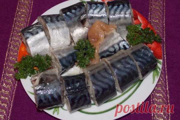 Как засолить скумбрию кусочками | CityWomanCafe.com