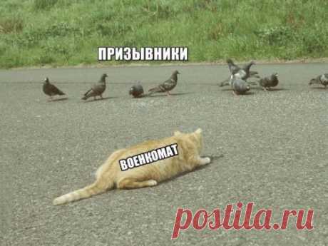 Прикольные картинки и фотки дня (37 шт) | Чёрт побери Горячая подборочка свежих фото-приколов и картинок дня. Ежедневная порция юмора и хорошего настроения!