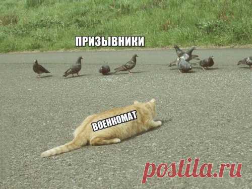 Прикольные картинки и фотки дня (37 шт) | Чёрт побери Горячая подборочка свежих фото-приколов и картинок дня. Ежедневная порция юмора и хорошего настроения!
