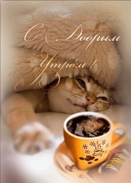 Google+