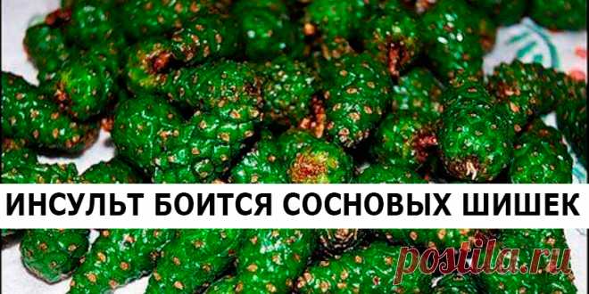 ИНСУЛЬТ БОИТСЯ СОСНОВЫХ ШИШЕК | Полезные советы
