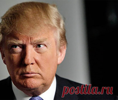 Дональд Трамп — Профессионалы.ru