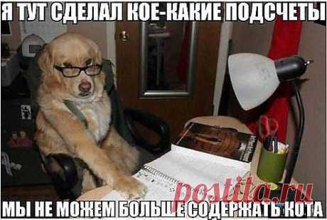 Подсчёты