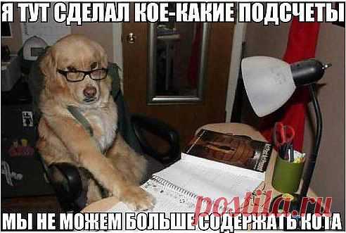 Подсчёты