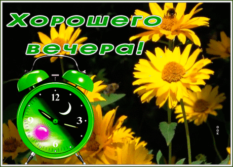 Картинка хорошего вечера с очаровательными цветами