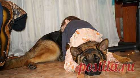 Породы собак. Энциклопедия.