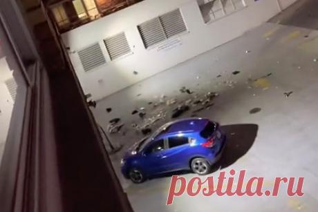 Женщина нашла способ отомстить бойфренду за измену и восхитила сеть. Блогерша под ником Nora рассказала, что стала свидетельницей сцены ревности, которую устроила ее соседка. Девушка сняла на видео, как знакомая выкидывала из окна вещи изменившего ей бойфренда. Соответствующий ролик появился в социальной сети TikTok в минувшее воскресенье, 23 января.