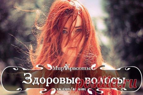 Здоровье волос
