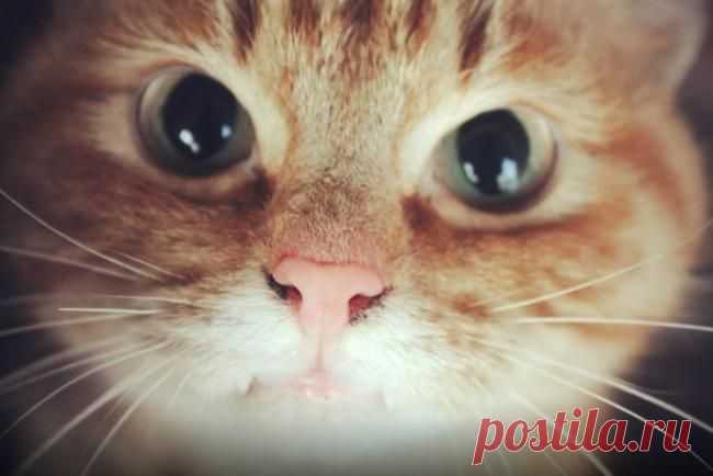 Ясновидящий!