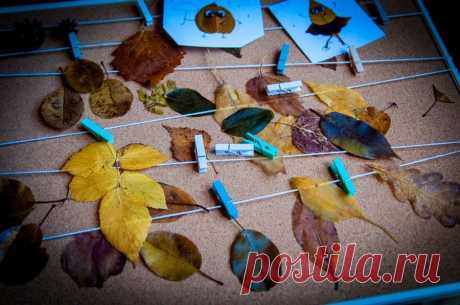 Варим листья в глицерине. | livingart.online