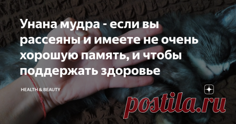 Унана мудра - если вы рассеяны и имеете не очень хорошую память, и чтобы поддержать здоровье Ну, что же, как-то под одной из статей меня просили продолжить тему мудр для памяти, возможно кто-то ещё помнит, о китайской практике для хорошей памяти и в работе рук не сомневается, поэтому сегодня продолжим тему, но с немного иной стороны, а именно со стороны мудр, которые многим известны, как хорошие практики для поддержания здоровья физического тела, красоты и даже молодости. ...