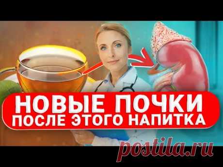 Это спасло Мои почки За 2 приёма! Как наладить работу и очистить почки дома