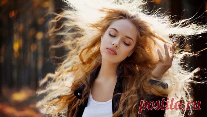 6 советов, которые помогут вам реже мыть голову! | В мире интересного