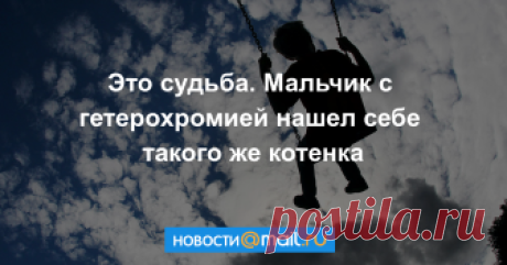 Они отлично подходят друг другу.