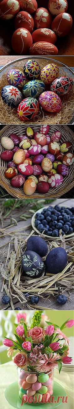 botanical egg tutorial