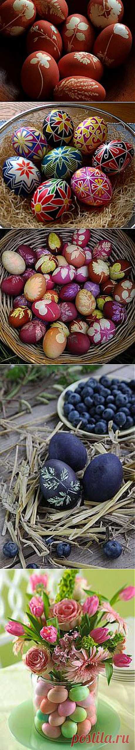 botanical egg tutorial
