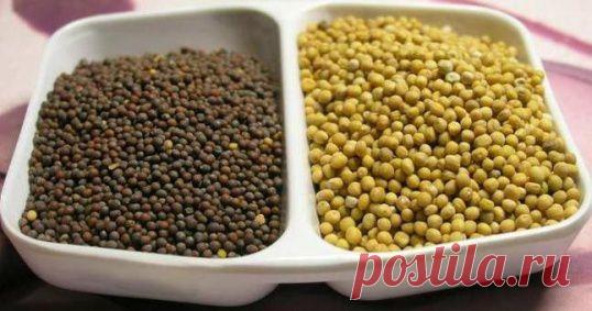 Как приготовить горчицу из зерен :: как сделать французскую горчицу :: Кулинарные рецепты :: KakProsto.ru: как просто сделать всё