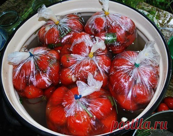 Помидорчики в пакетах, вкуснотище
