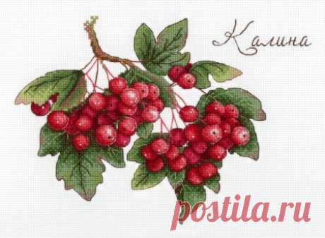 МореСхем - море схем для вышивания крестиком