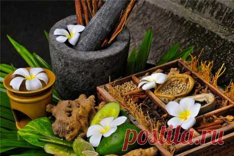 *Лечит болезни врач,но излечивает природа.*
                                                                                                            Гипократ.