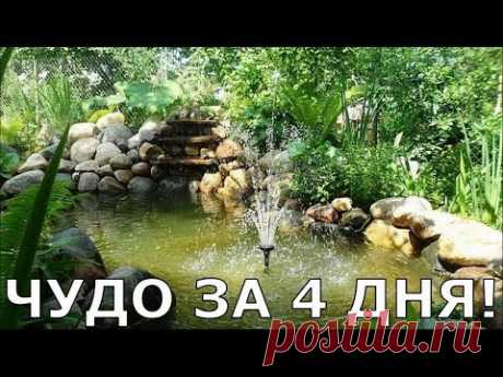 Дача. Пруд своими руками за 4 дня