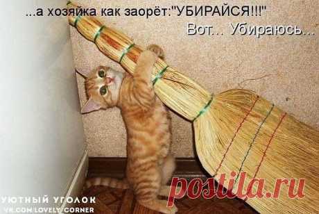 Уборка? да без проблем!!!