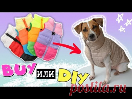 BUY или DIY? | ЖИЛЕТКА ДЛЯ СОБАК СВОИМИ РУКАМИ