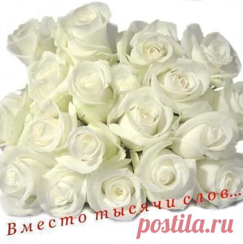 БЛАГОДАРНОСТИ - 50 фото. Фотографии zoja simonova.