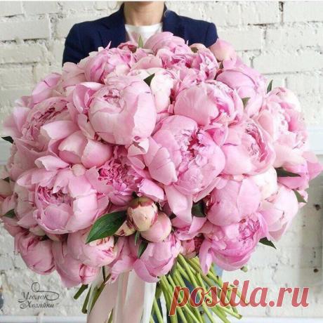 Елена Казанцева