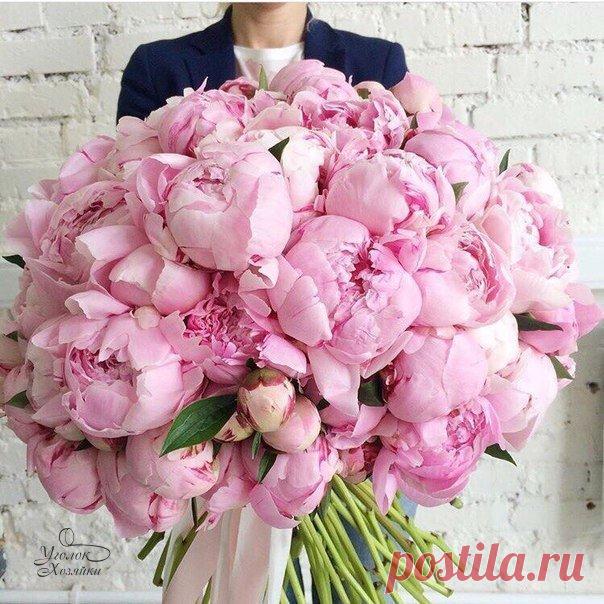 Елена Казанцева