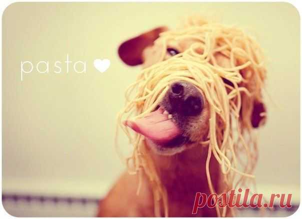 Полезные советы по правильному питанию