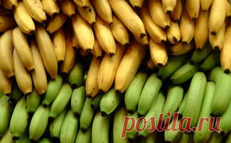 5 питательных веществ, которых вам точно не хватает — Субботний Рамблер