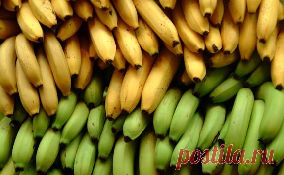 5 питательных веществ, которых вам точно не хватает — Субботний Рамблер