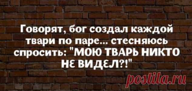18 высказываний от мудрых женщин с юмором | Люблю Себя