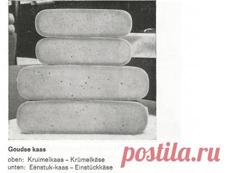 Технология приготовления Гауды - Сыродел-эксперт