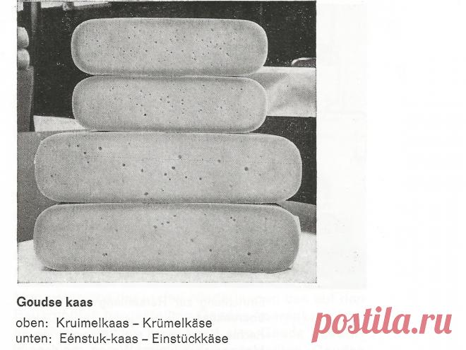 Технология приготовления Гауды - Сыродел-эксперт