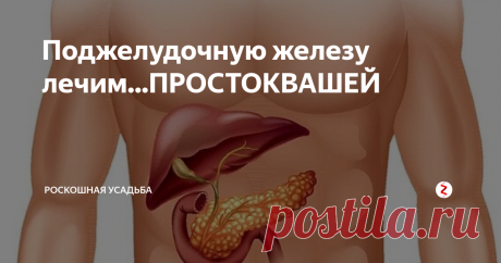Поджелудочную железу лечим...ПРОСТОКВАШЕЙ С проблемой поджелудочной железы сталкиваются многие.