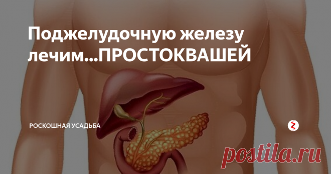 Поджелудочную железу лечим...ПРОСТОКВАШЕЙ С проблемой поджелудочной железы сталкиваются многие.