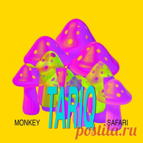 Monkey Safari – Tariq [GVFP014] Sharing-DB.club