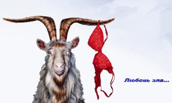 А зачем Козе баян??? Идеи, наброски, обсуждения. Год Козы( Овцы) - 2015 - Страница 14