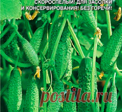 Огурец Миранда F1 семена - низкая цена, описание, отзывы, продажа