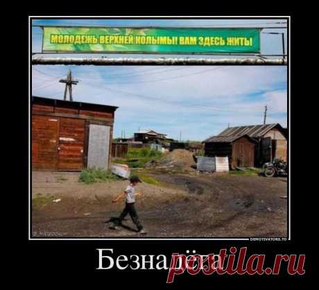Порция отличных Демотиваторов / Писец - приколы интернета